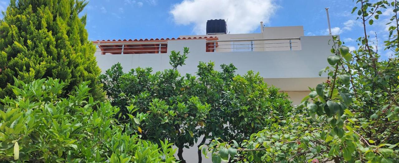 Villa Elli خيرسونِسوس المظهر الخارجي الصورة