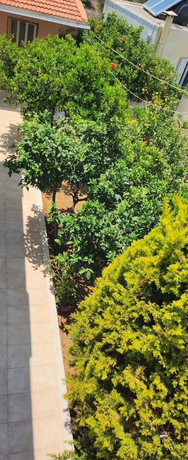 Villa Elli خيرسونِسوس المظهر الخارجي الصورة